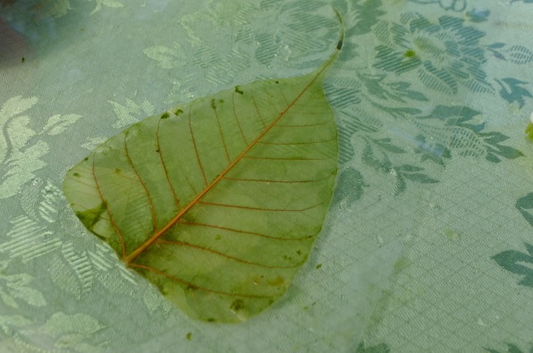 LEAF