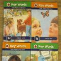 ladybird