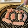 我的相冊
