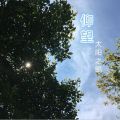 添馬公園