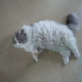 like like
