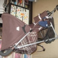 $900 MaClaren Triump Model BB Stroller