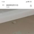 我的相冊