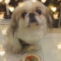 我的相冊