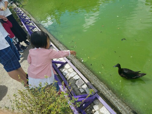 20161015_112954.JPEG
