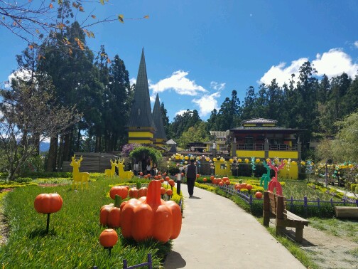 20161015_120827.JPEG