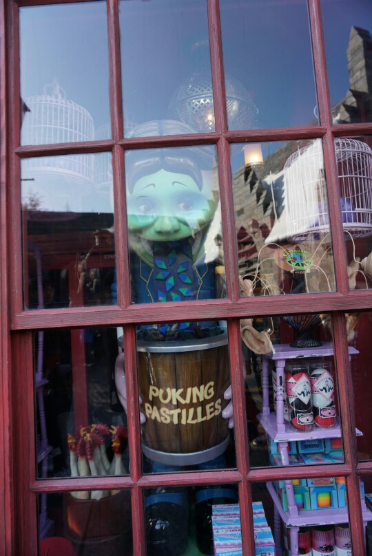 DSC00599.JPEG