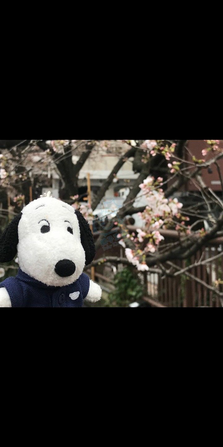 Screenshot_2018-03-20-14-43-52.JPEG