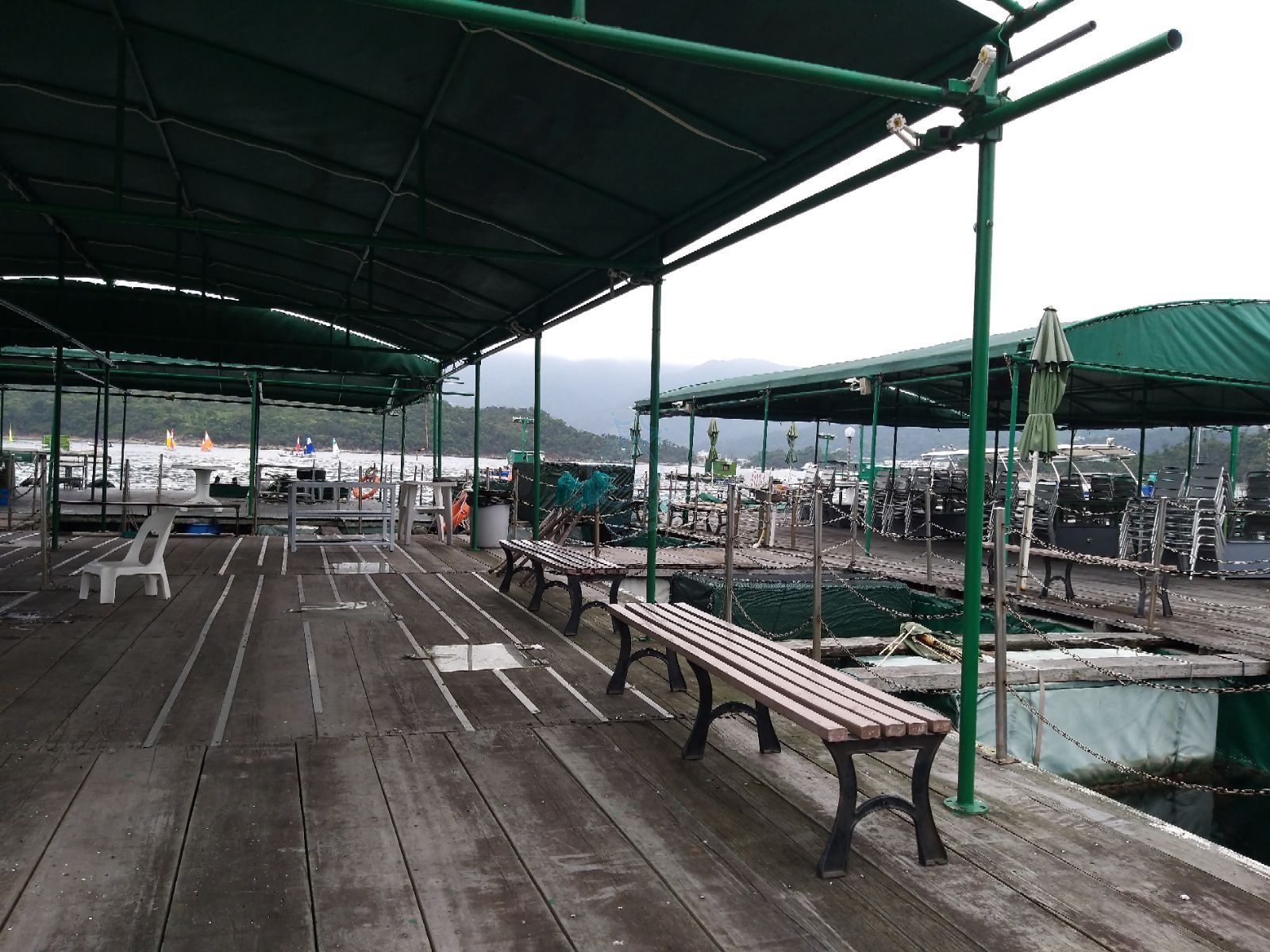 魚排包埸釣魚- 自由講場- Baby Kingdom - 親子王國香港討論區