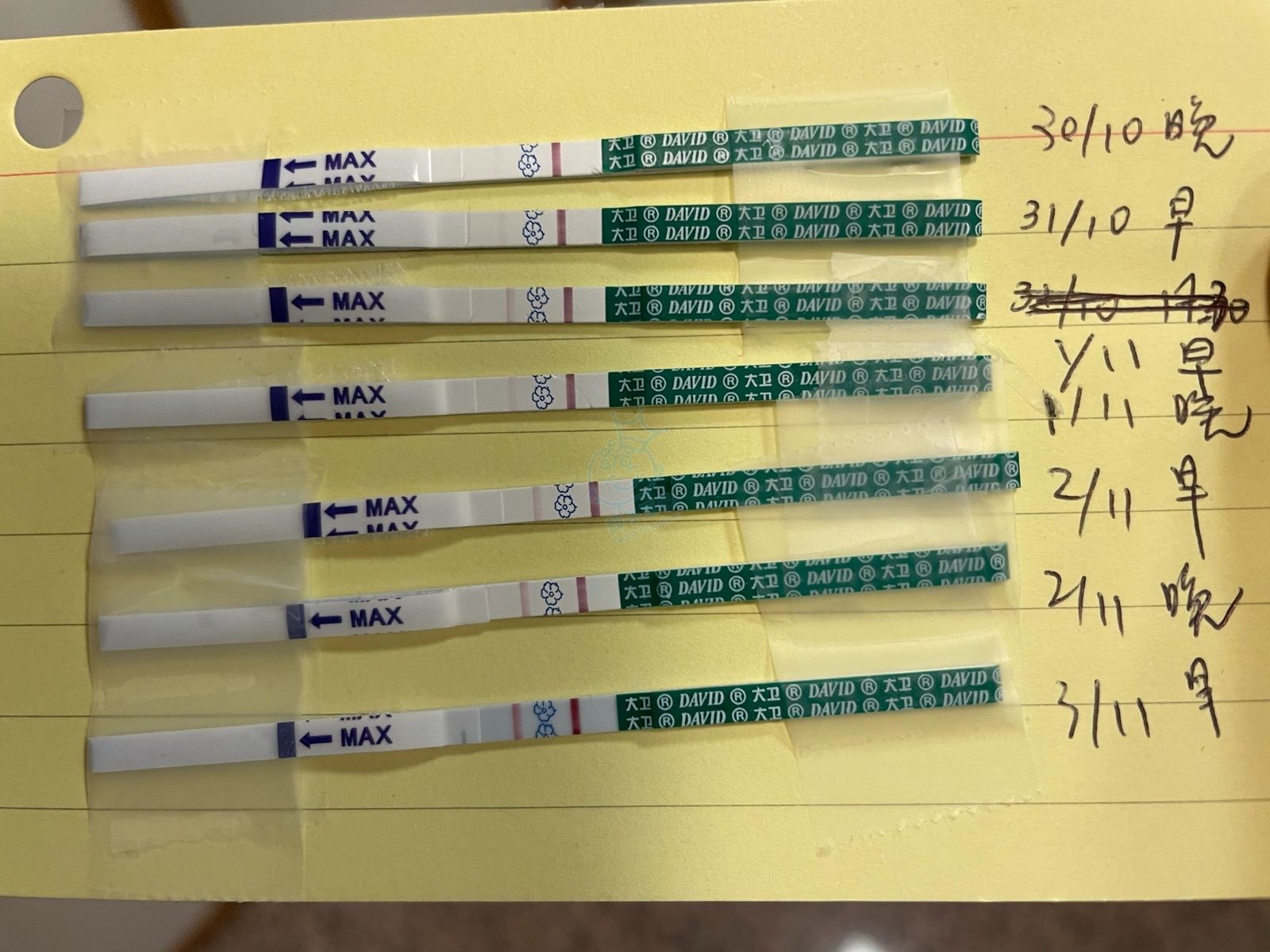 請幫手看看是否bingo 附紅d綠d 想生bb Baby Kingdom 親子王國香港討論區