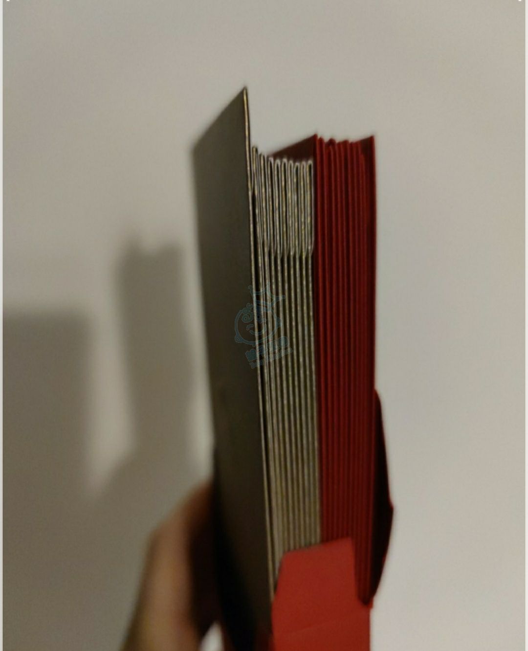 16122598217601967718713993057108.jpg