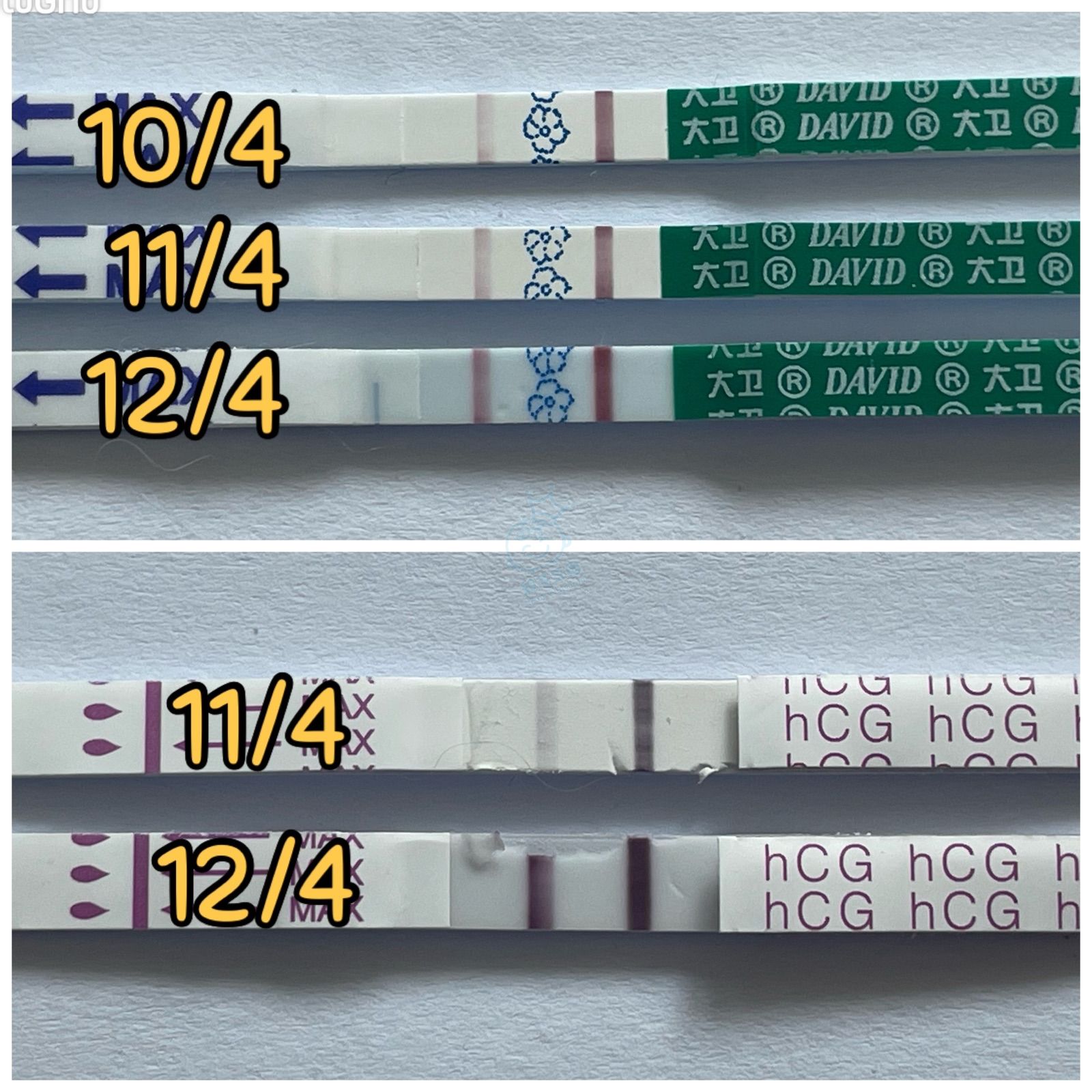 attach1/tmp/phphd7vtN