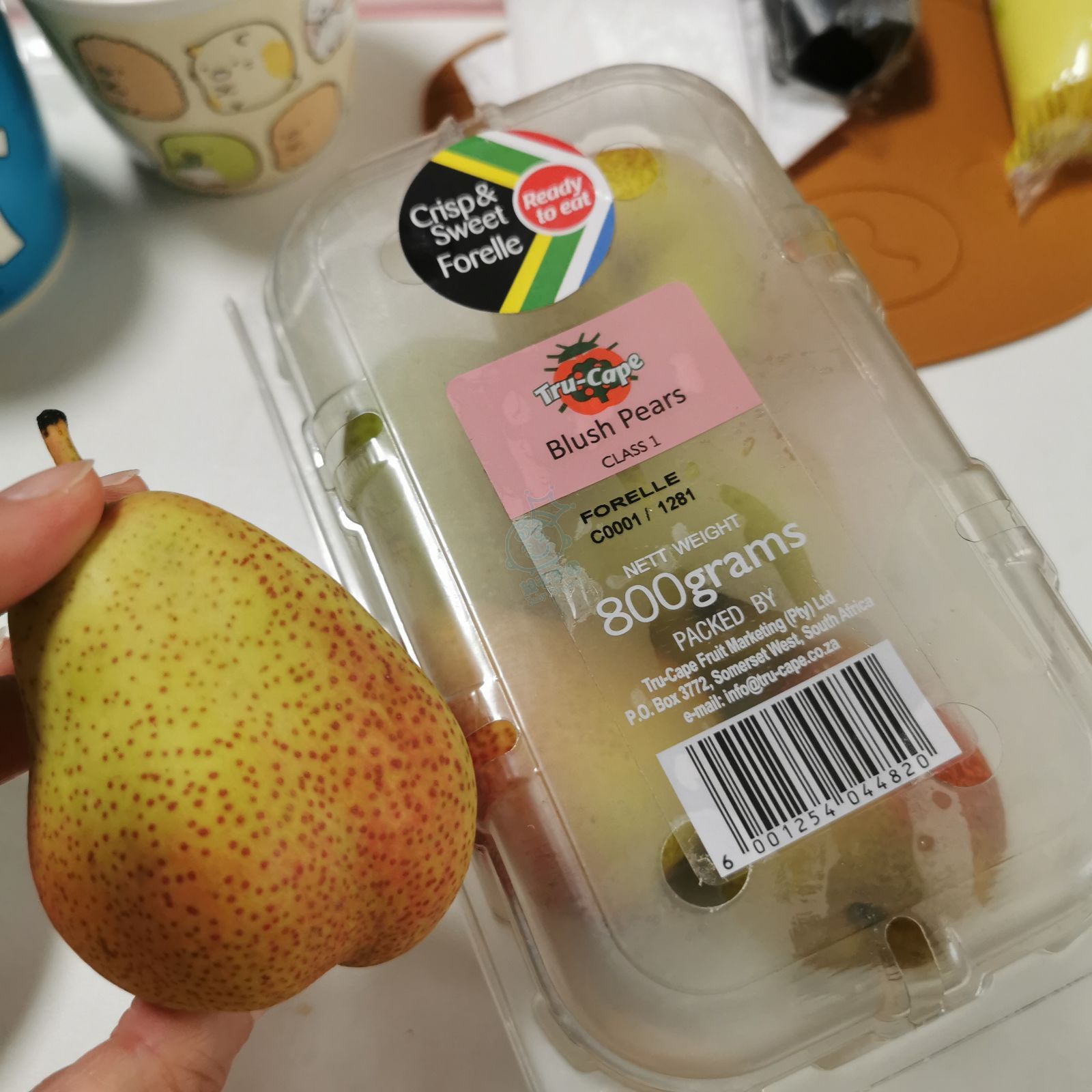 attach0/tmp/php6OvDQe