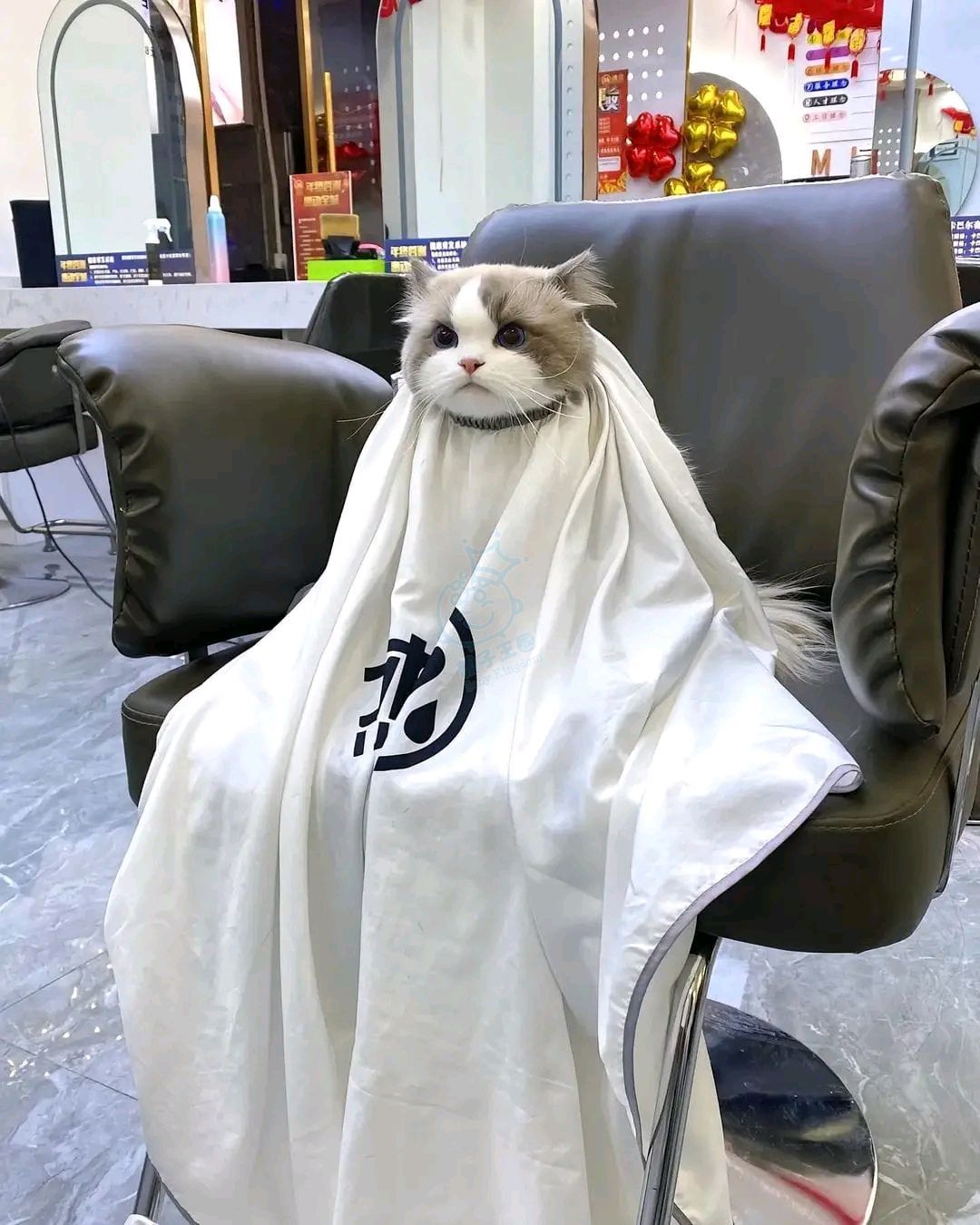 attach0/tmp/phpSnn2nV