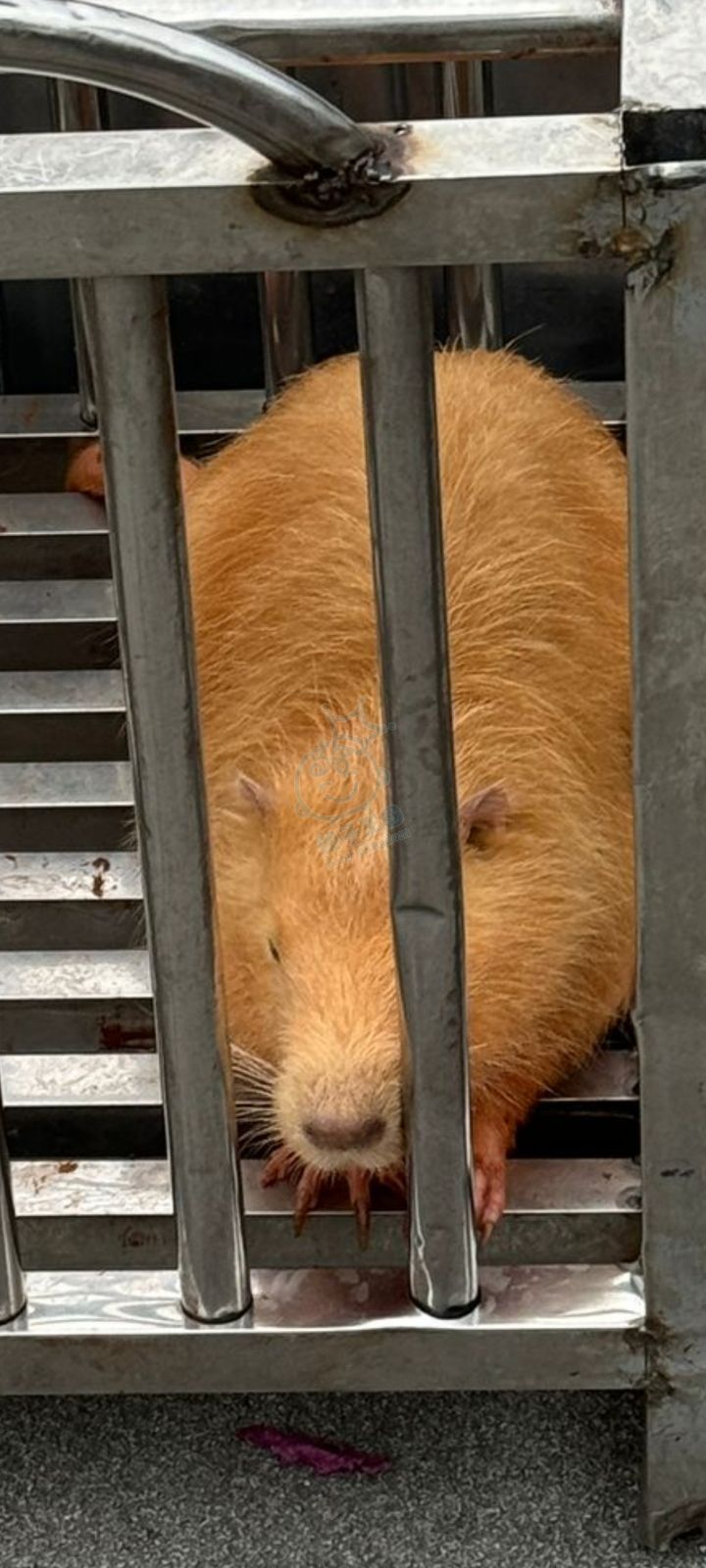 attach0/tmp/phpax6x78