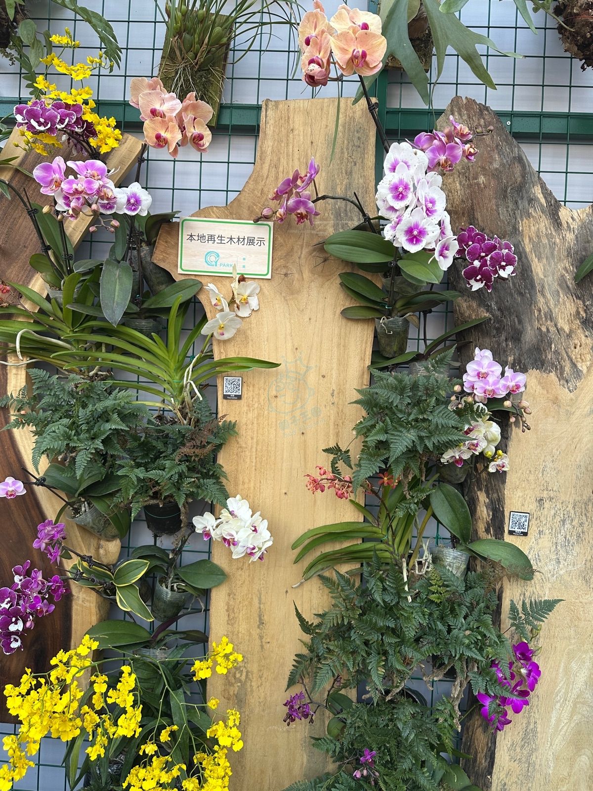 attach4/tmp/phpbek4el