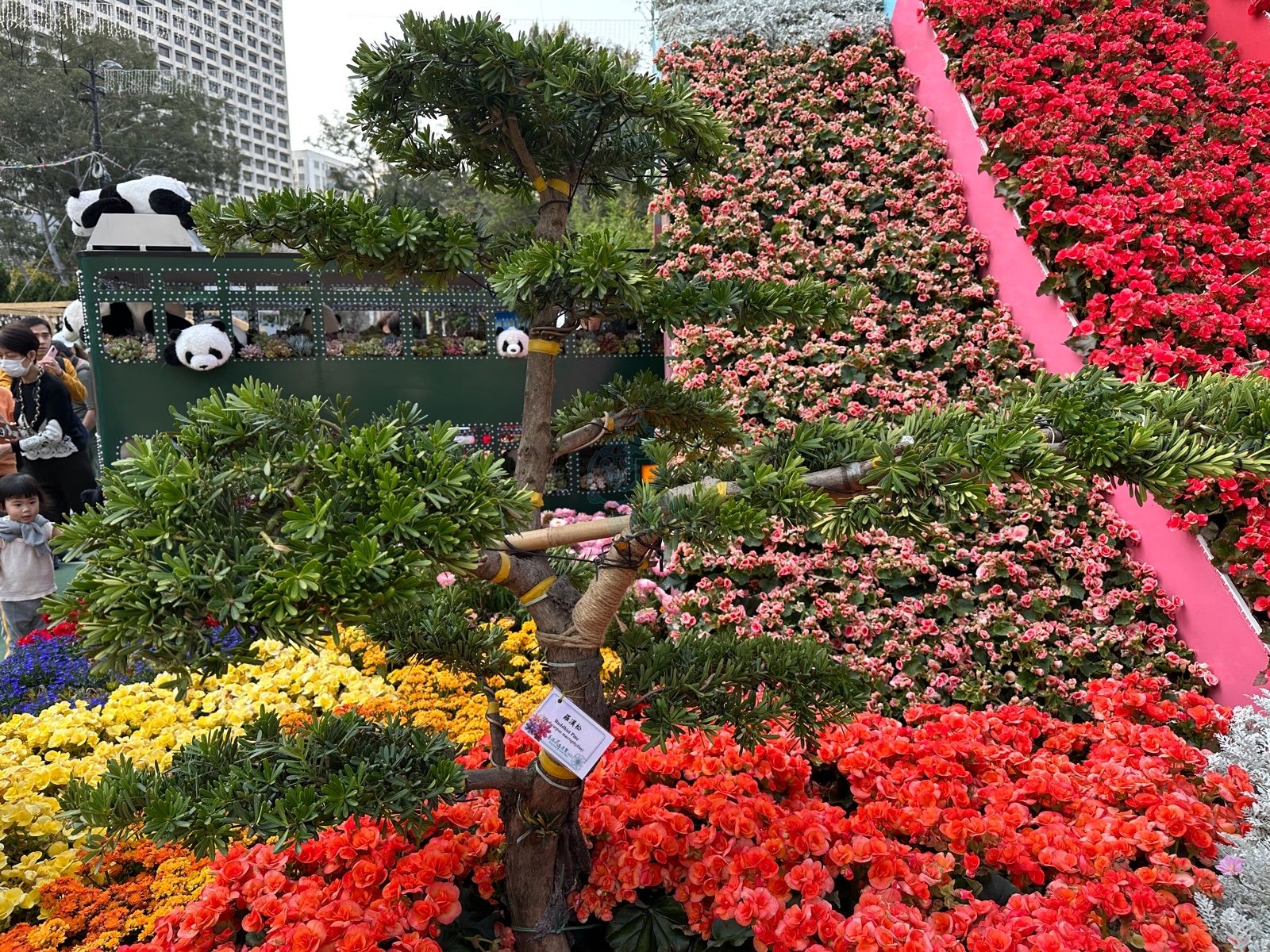 attach3/tmp/phpTXU6P9