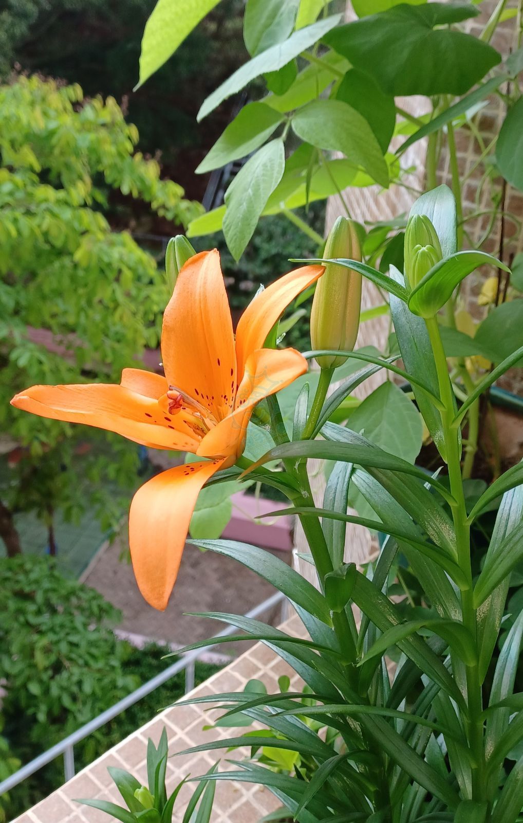 attach0/tmp/phphAwbxV