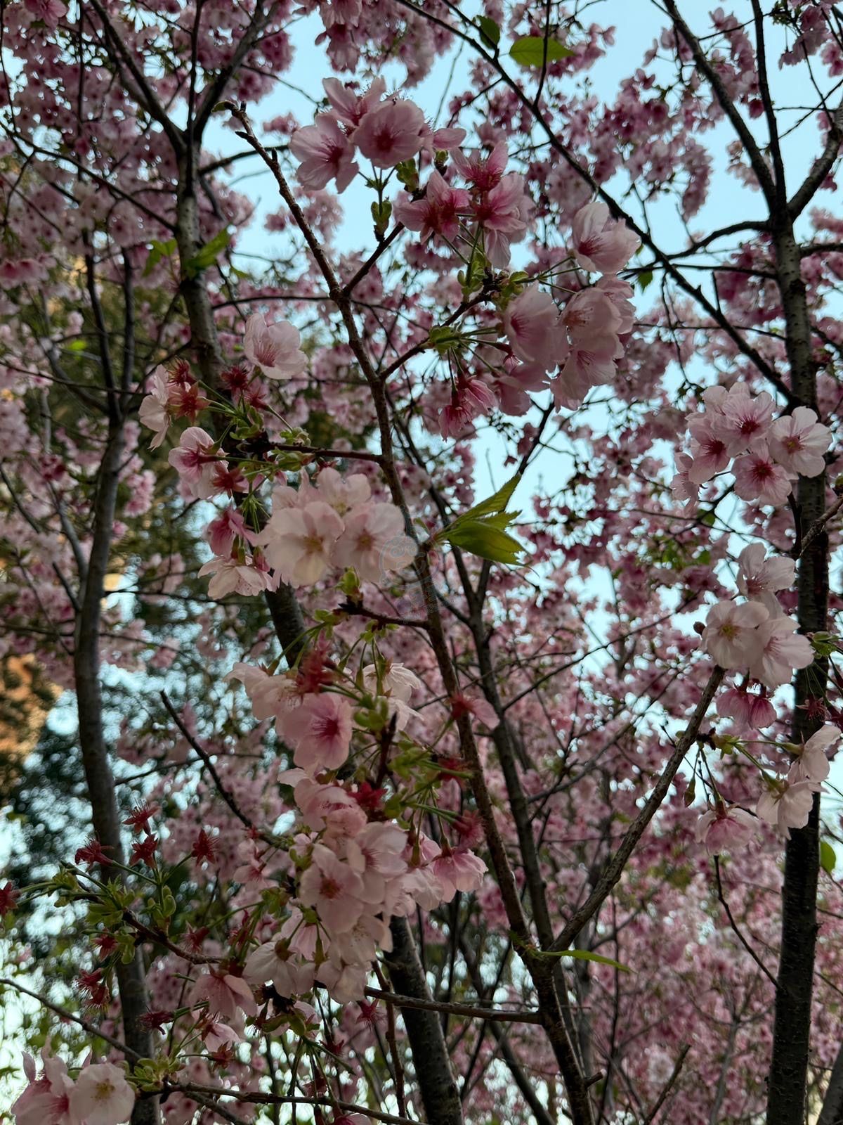 attach4/tmp/phpmuLGXQ